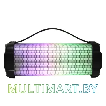 Беспроводная колонка Hyundai H-PAC400